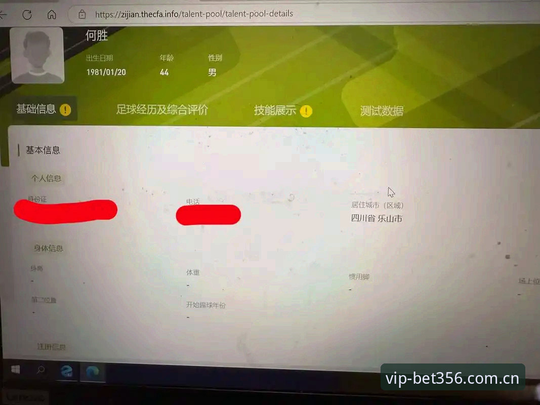 资深用户林芳的避坑实录：BET356电脑端官网登录中文官方下载的正确打开方式
